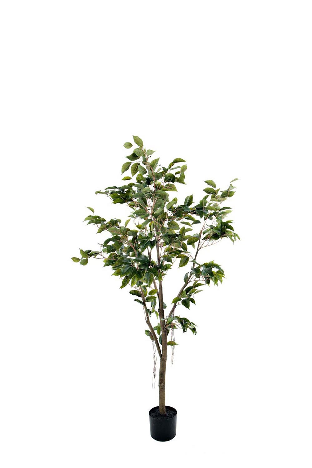Konstgjord Fikus Benjamin 180cm