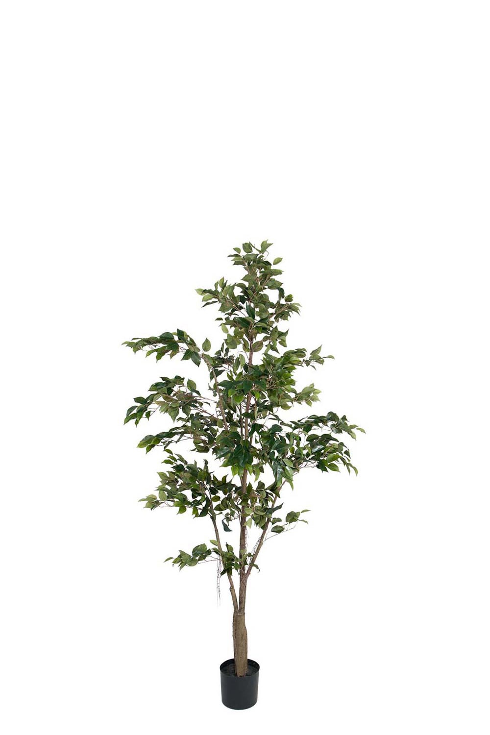 Konstgjord Fikus Benjamin 210cm
