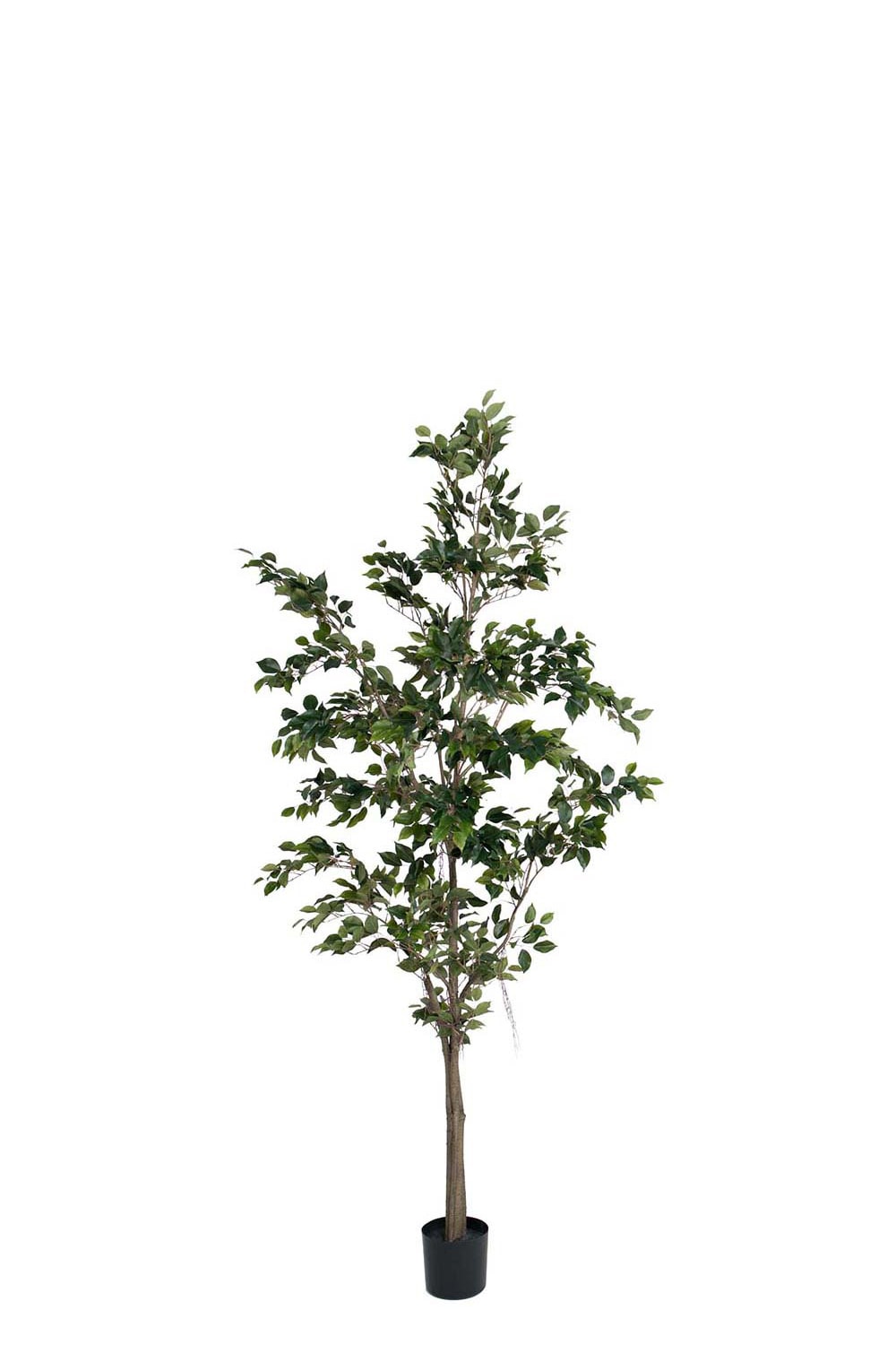 Konstgjord Fikus Benjamin 240cm