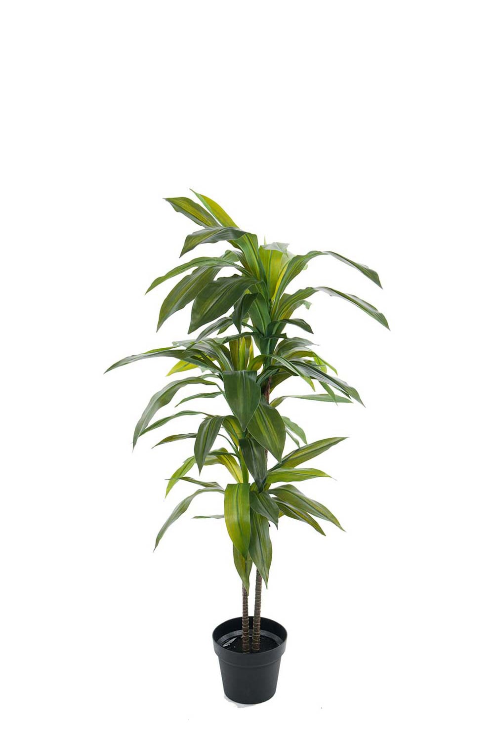 Konstgjord grön Dracena 100cm