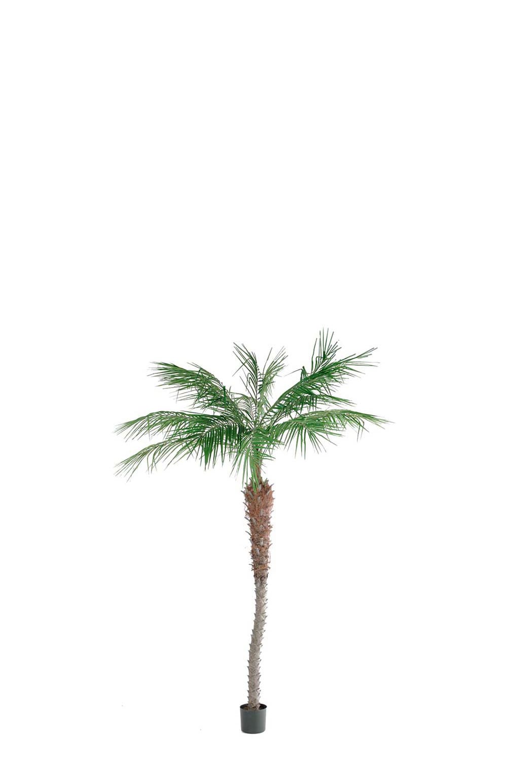 Konstgjord Phoenix Palm 210cm