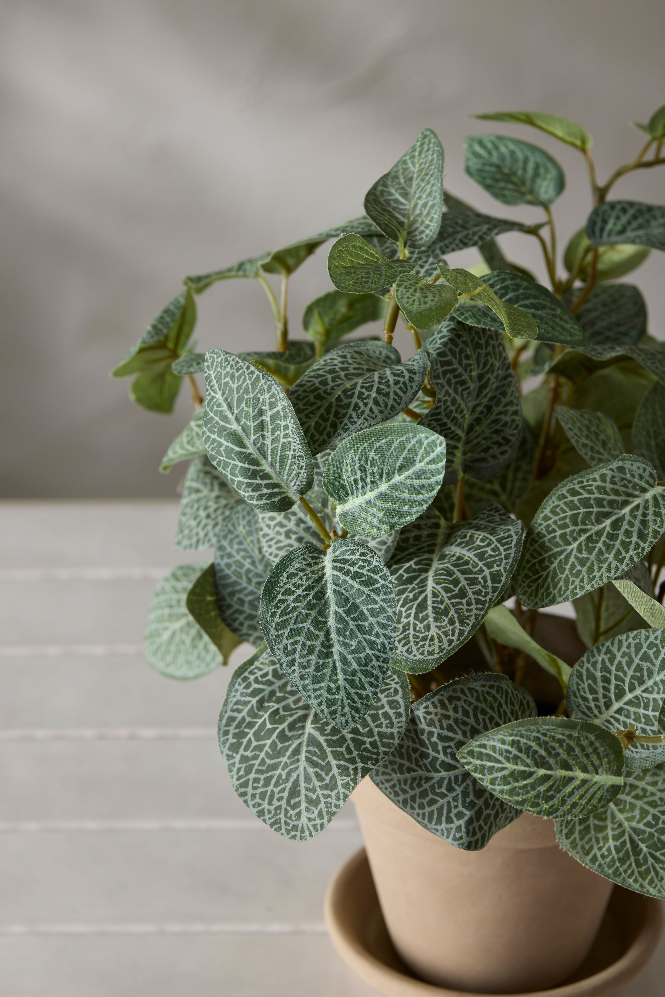 Konstgjord grön Fittonia 34cm