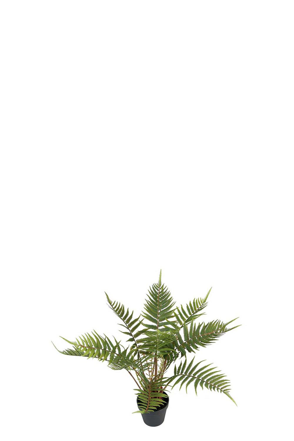 Konstgjord grön Ormbunke 50cm