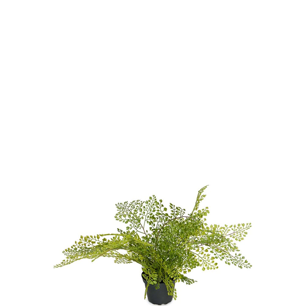 Konstgjord grön Adiantum 30cm