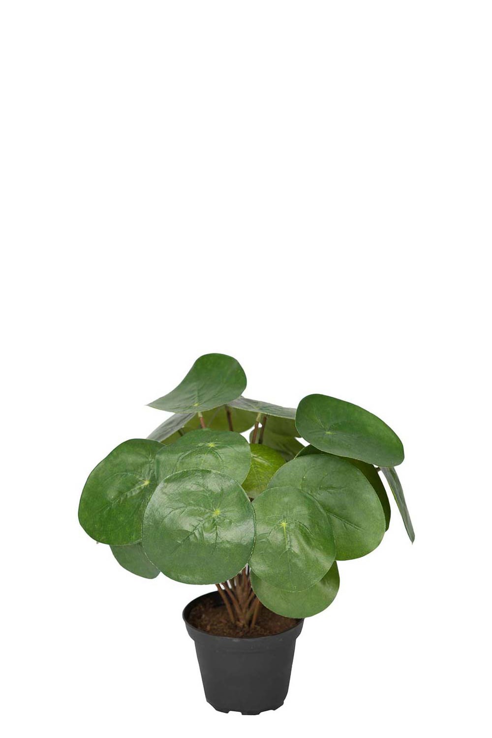 Konstgjord grön Elefantöra 25cm