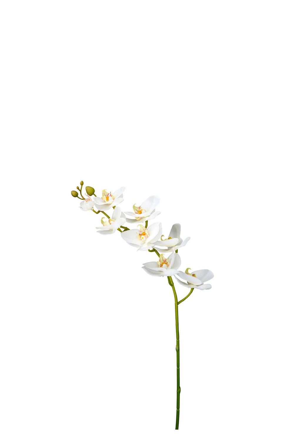 Konstgjord vit Phalaenopsis 75cm