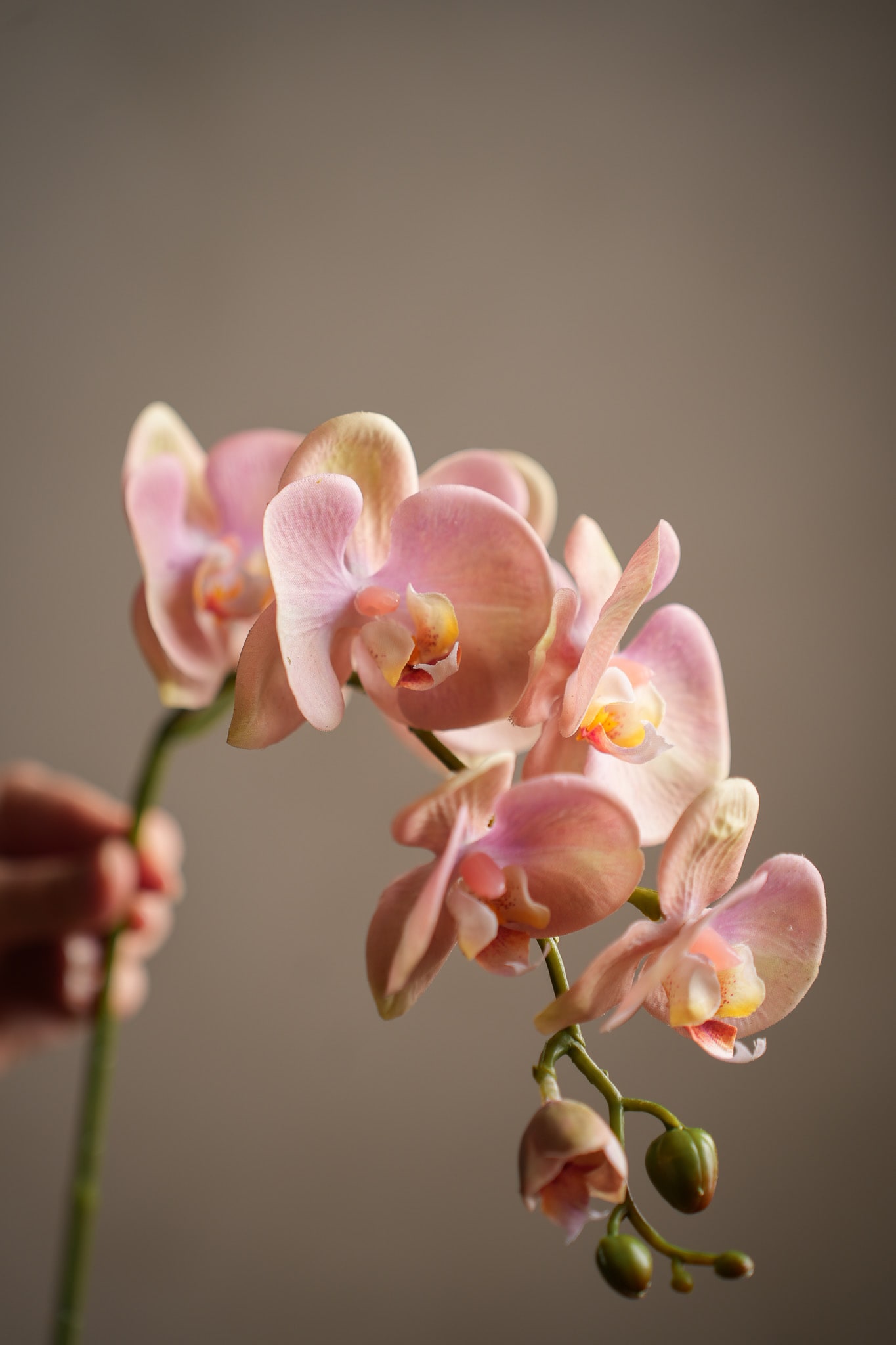 Konstgjord rosa Phalaenopsis 75cm