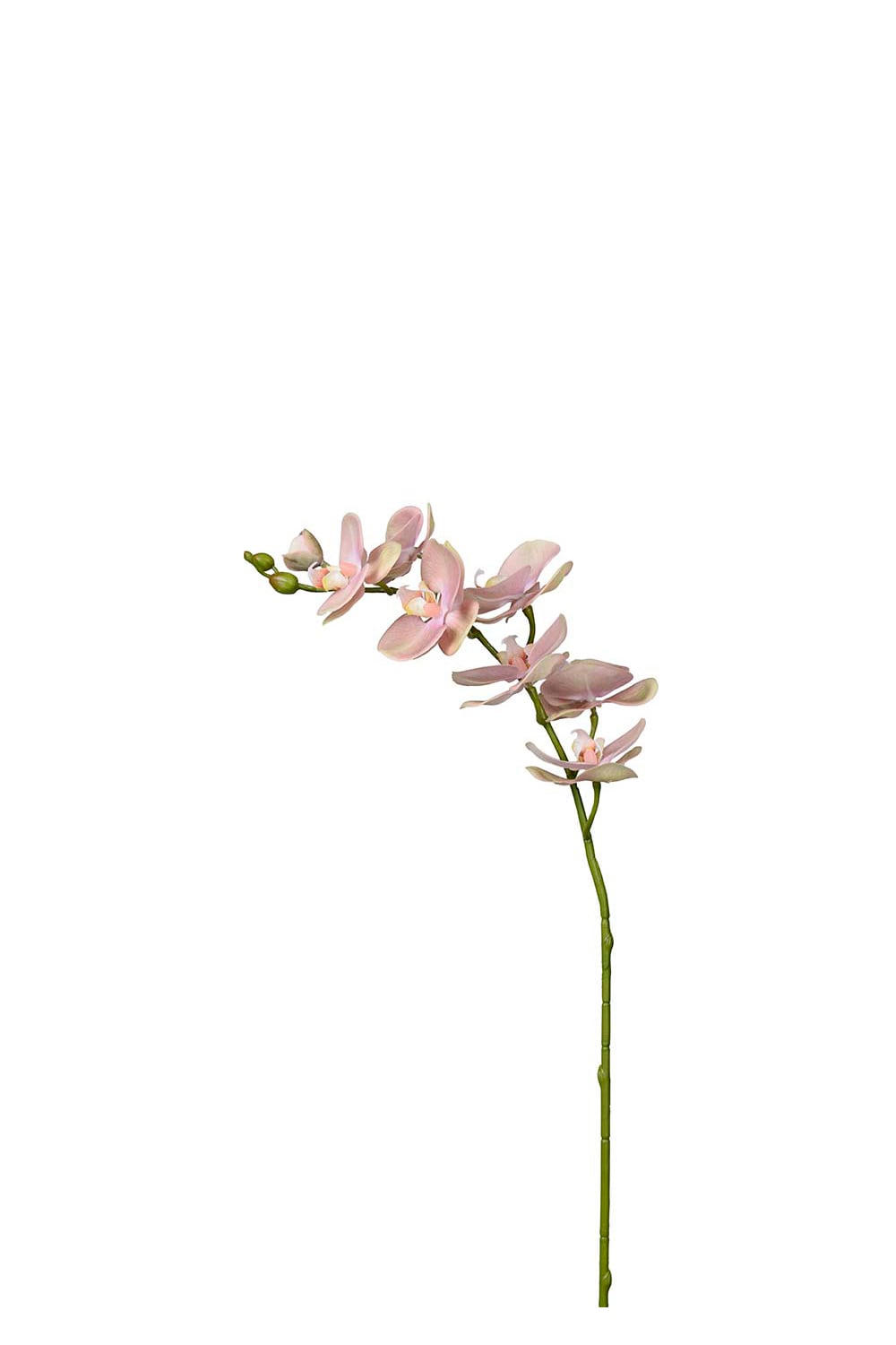 Konstgjord rosa Phalaenopsis 75cm