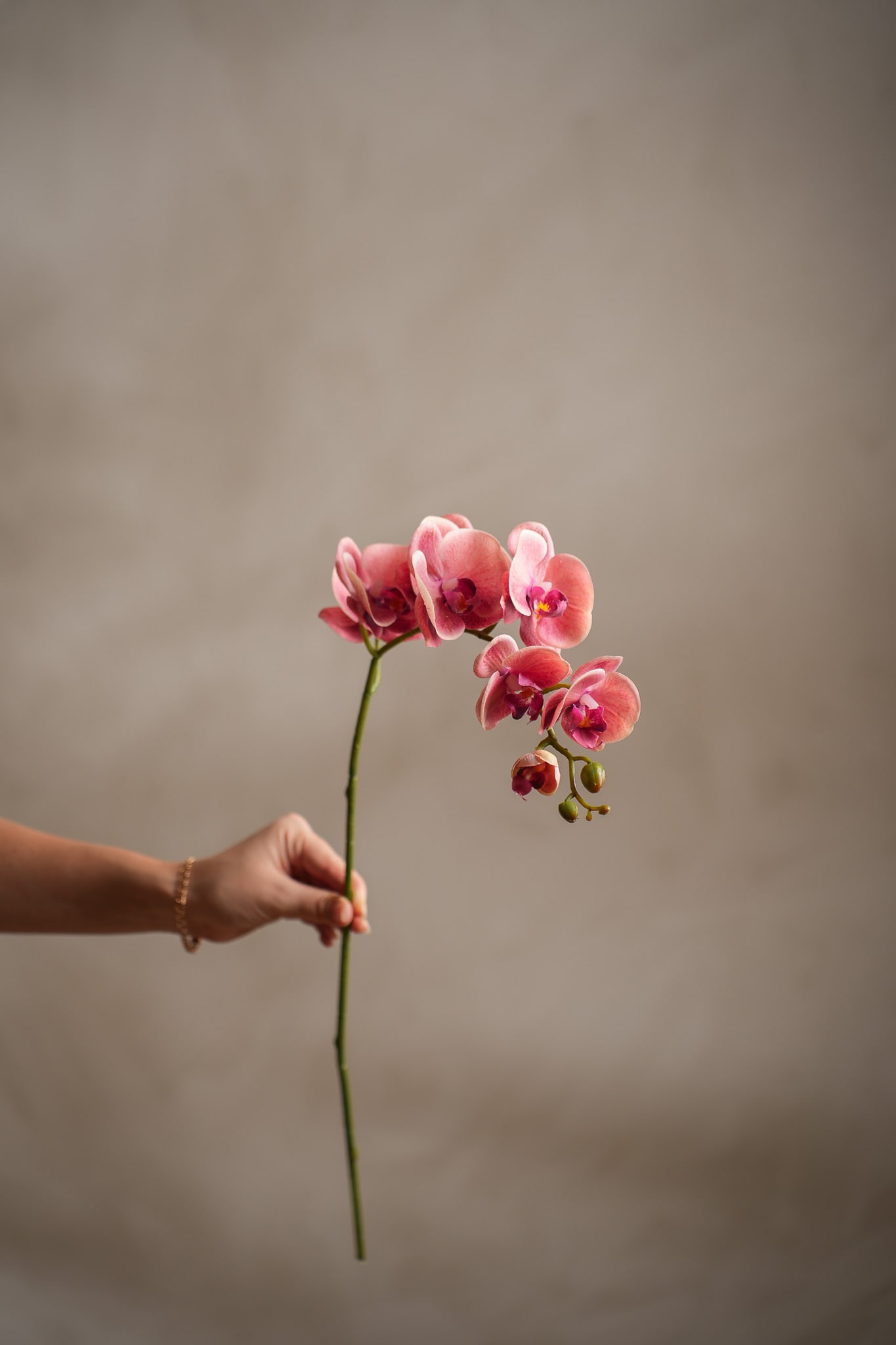 Konstgjord rosa Phalaenopsis 75cm