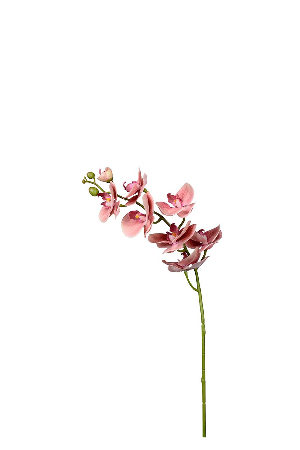 Konstgjord rosa Phalaenopsis 75cm