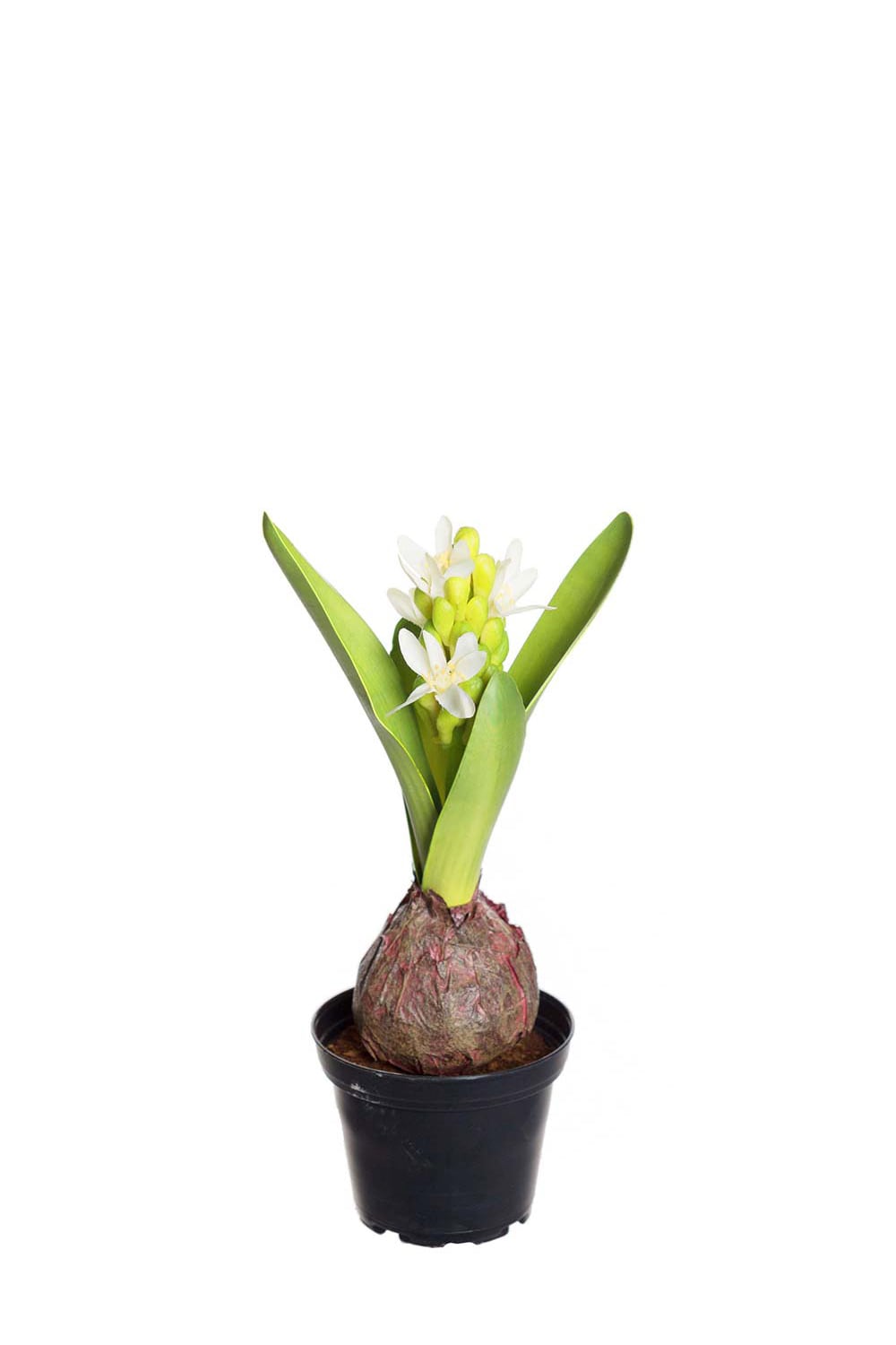 Konstgjord vit Hyacint 22cm