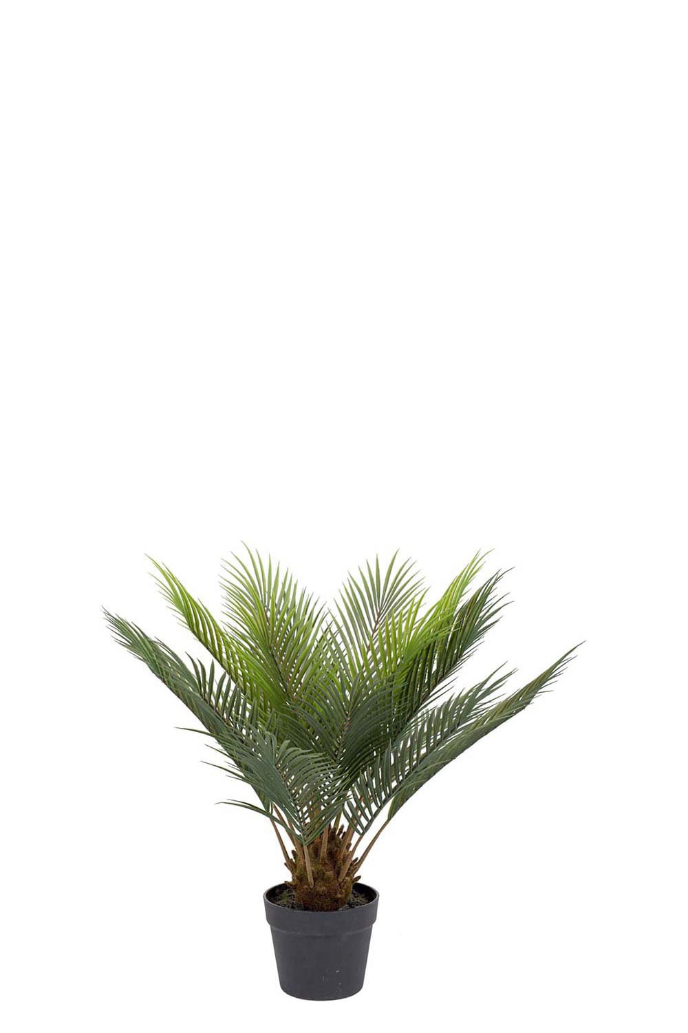 Konstgjord grön Cycas 60cm