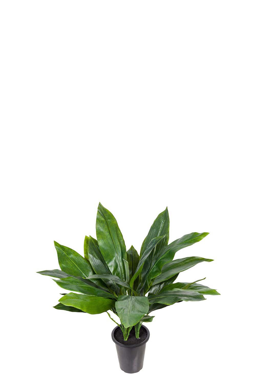 Konstgjord grön Aspidistra 75cm