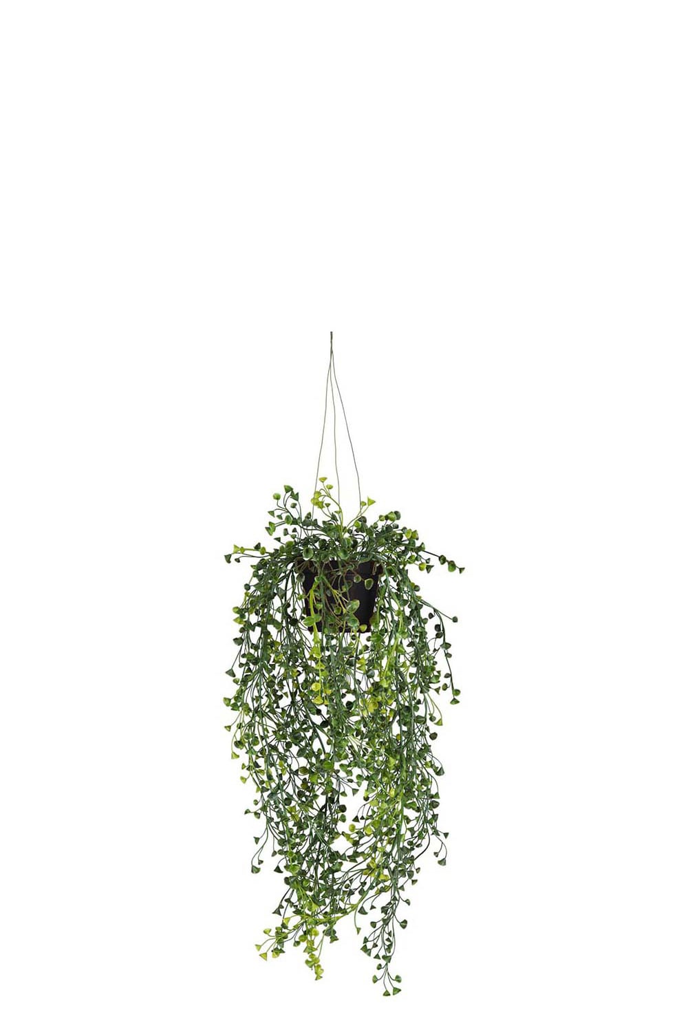 Konstgjord grön Cucullata 60cm