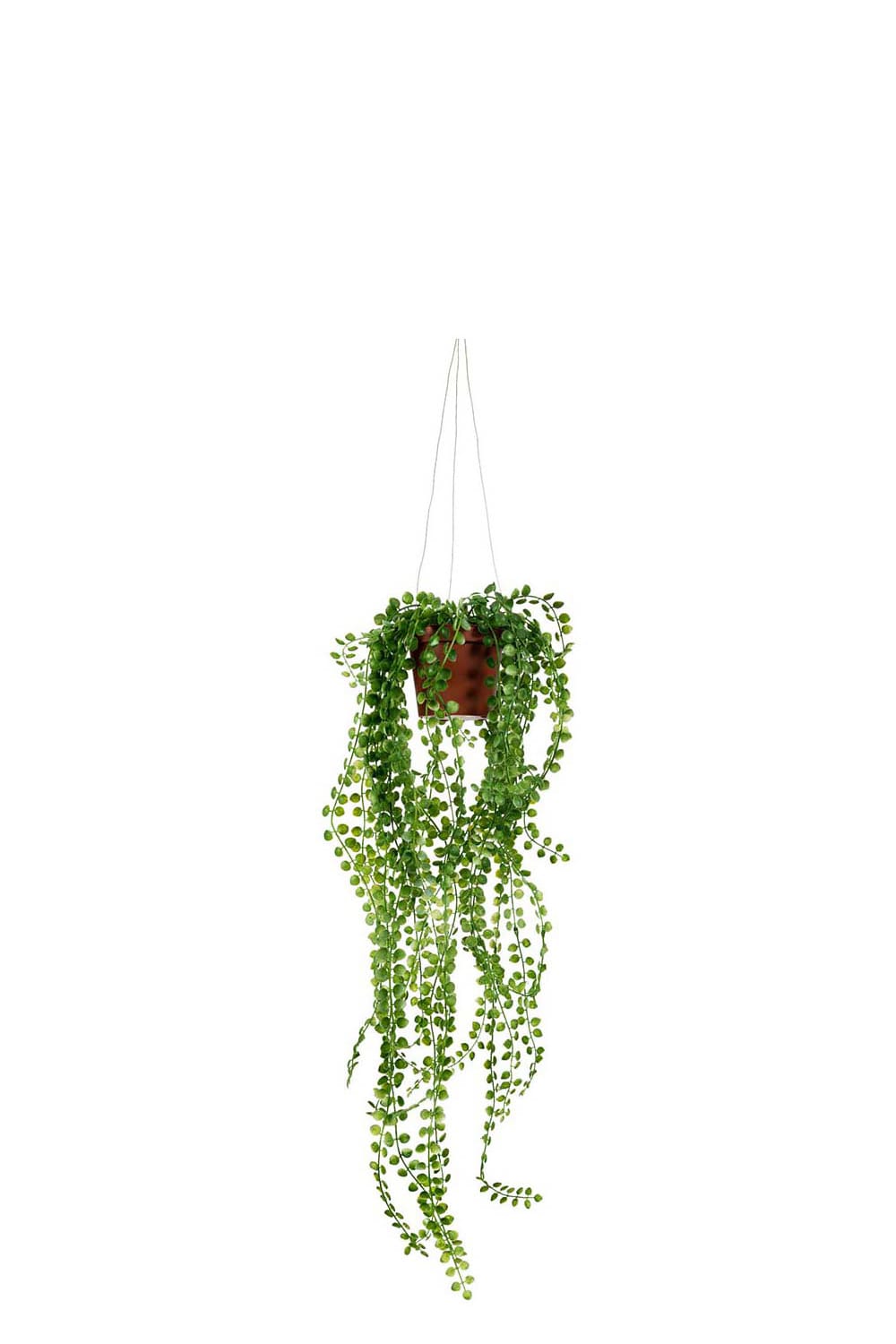 Konstgjord grön Pilea 12cm