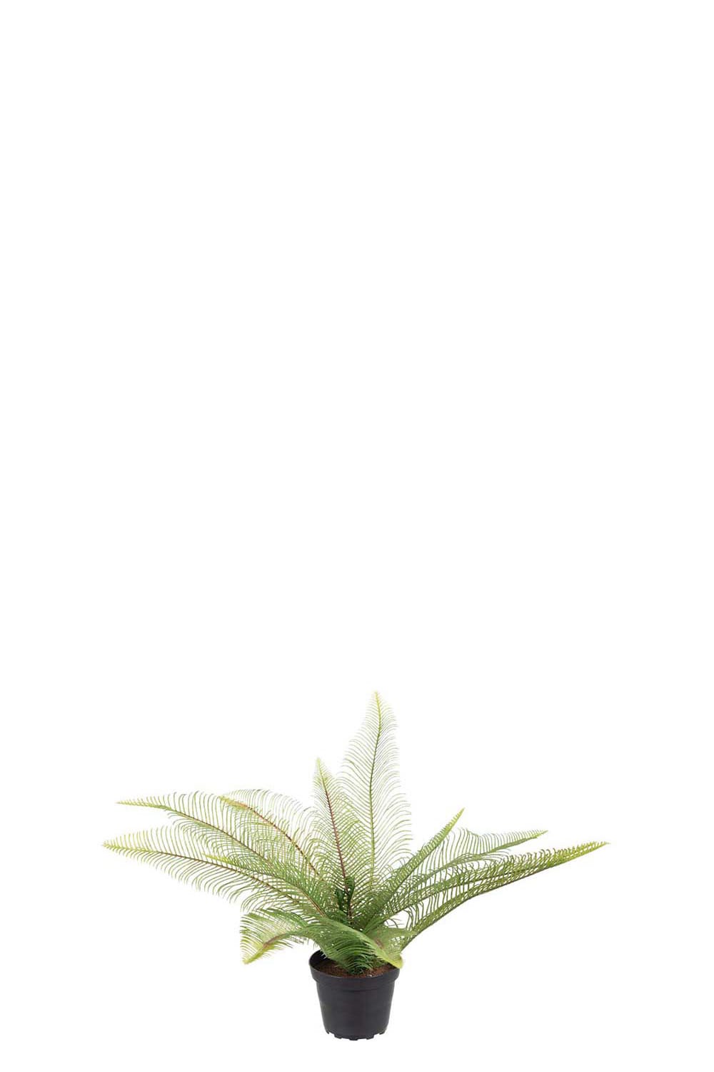 Konstgjord grön Ormbunke 30cm