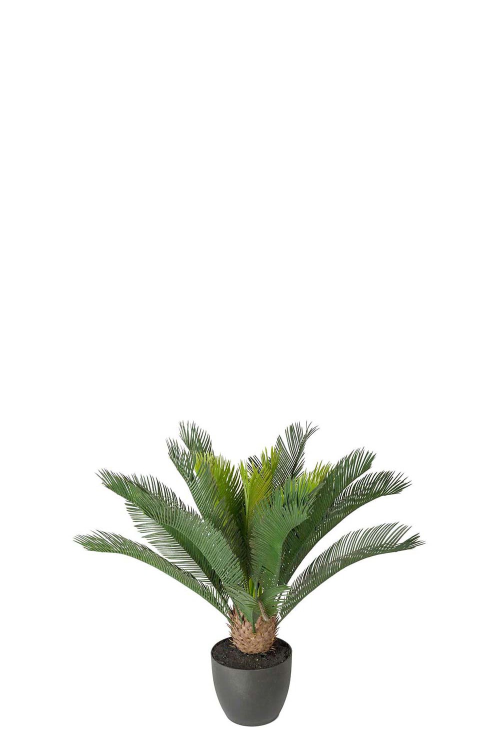 Konstgjord grön Cycas 70cm