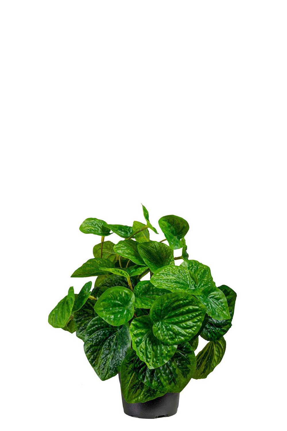 Konstgjord grön Peperomia 25cm