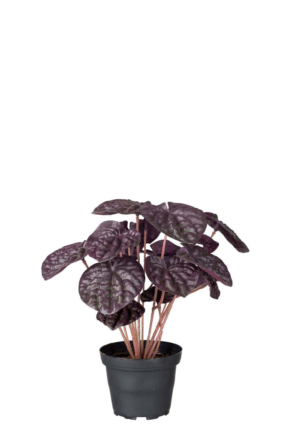 Konstgjord röd Peperomia 20cm