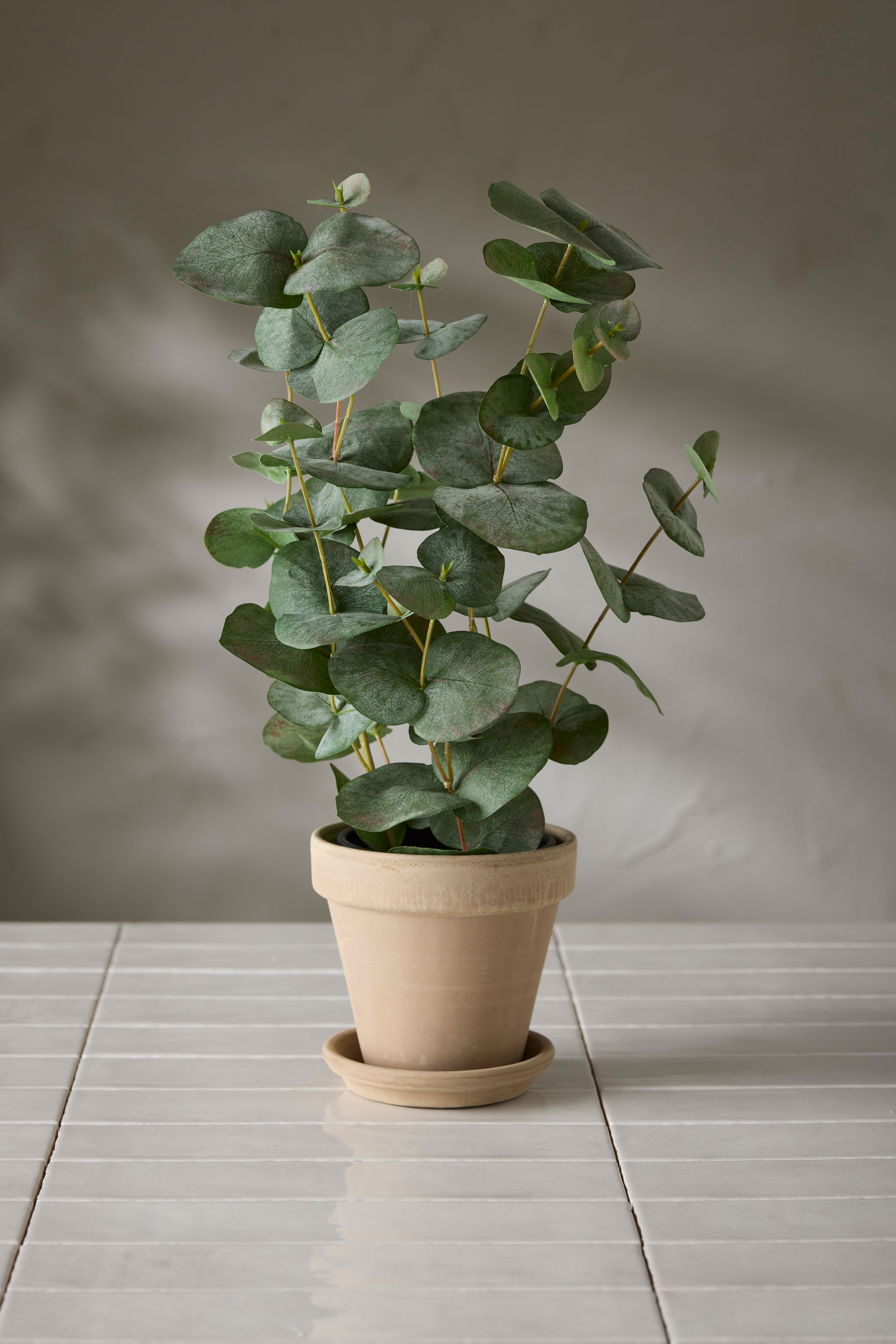 Konstgjord grön Eucalyptus 55cm