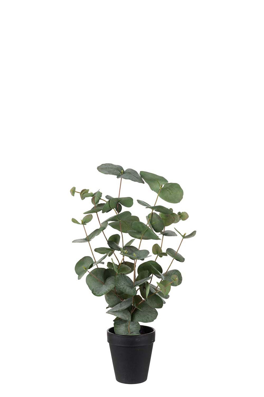 Konstgjord grön Eucalyptus 55cm